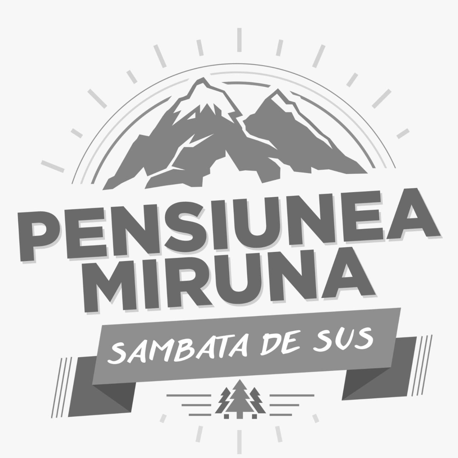 Hotel Miruna Sîmbăta de Sus Bagian luar foto